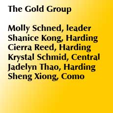 gold group link